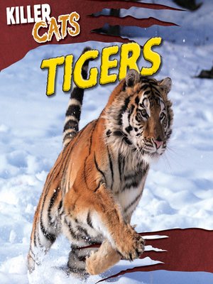 cover image of Tigers